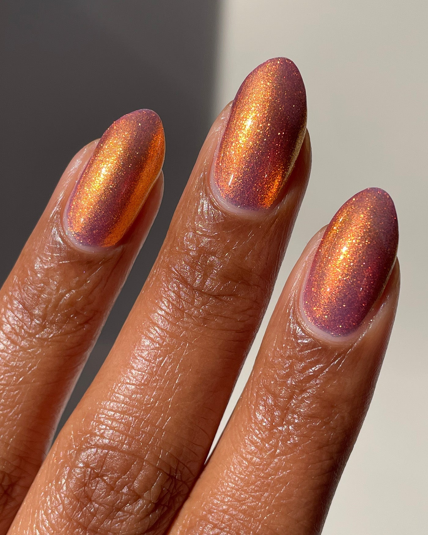 Flight Of The Monarchs